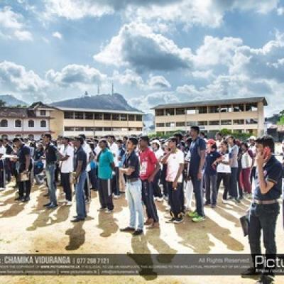 14492362 993338750793281 2619273853703033645 N 1