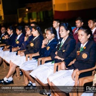 14563463 993334200793736 1079739415886558104 N